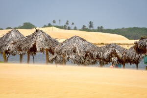 Brésil - Route de Jericoacoara - Lagune de Tatajuba