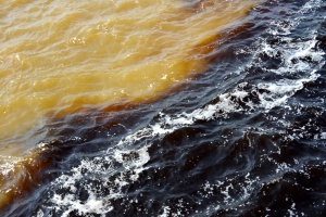 Brésil - Amazonie - rencontre des eaux