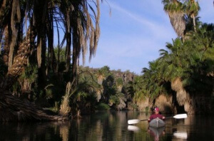 Mexique - Basse Claifornie - Kayak hôtel Ignacio Springs