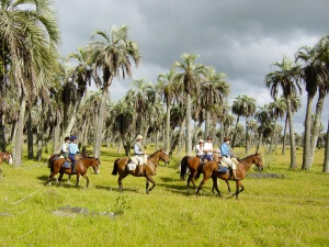 Uruguay - Rocha - Estancia