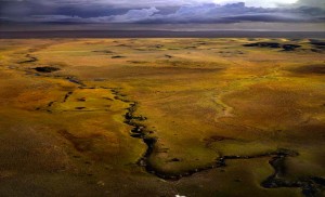 Venezuela-Grande-Savane-vue-aérienne
