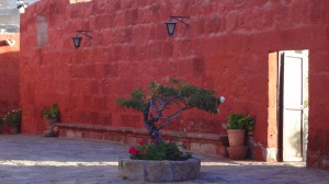 Pérou - Arequipa