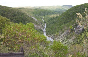 Uruguay - Estancia Los Platanos - Quebrada de los Cuervos