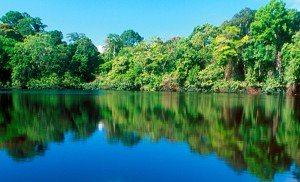 Parc National de Tortuguero au Costa Rica